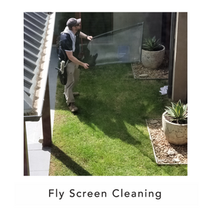 Fly Screen Cleaning | Ocean View Window Cleaning Company | Surf Coast