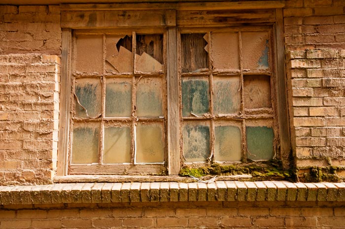 Clean windows make your home feel fresh!